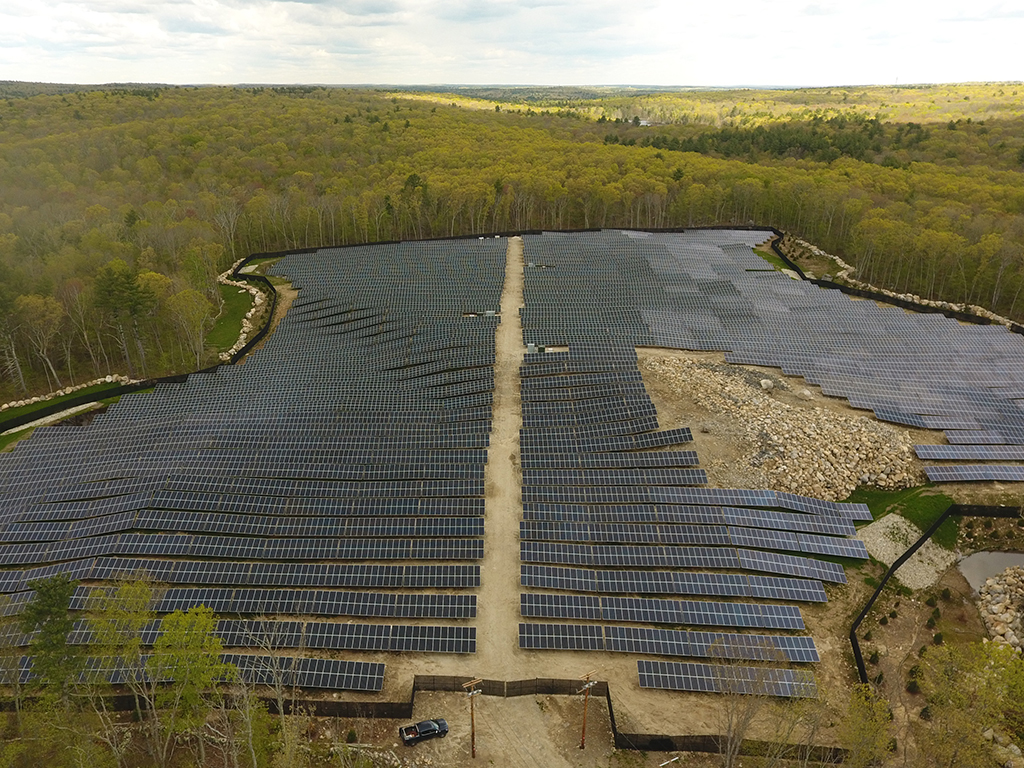 Renewable energy trends