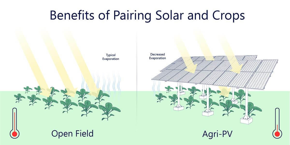Solar Powered Farms