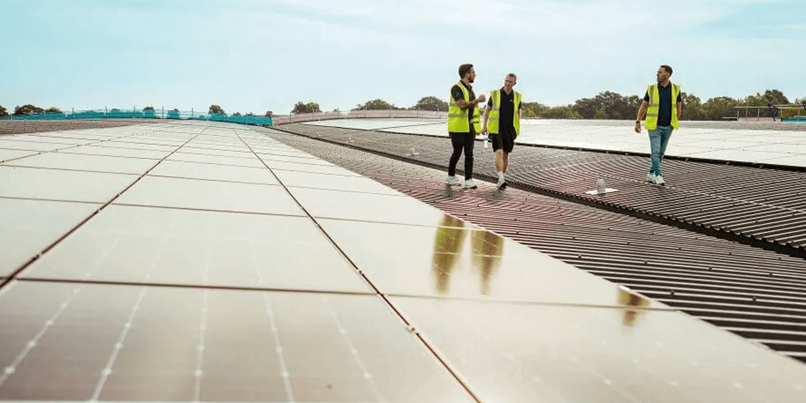 Liberty Wines case study