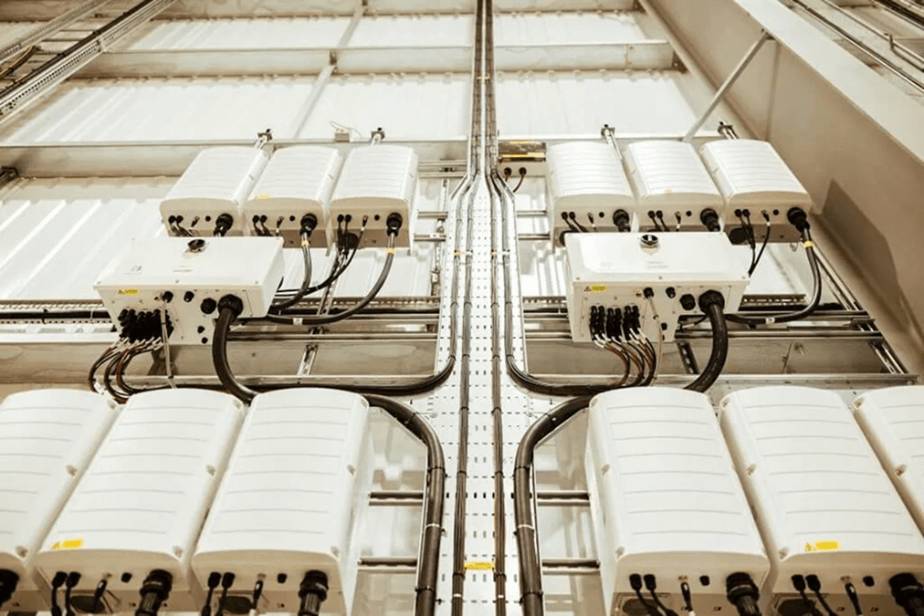 Liberty Wines case study